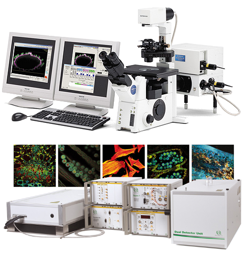 Olympus FV 1000 Confocal Microscope