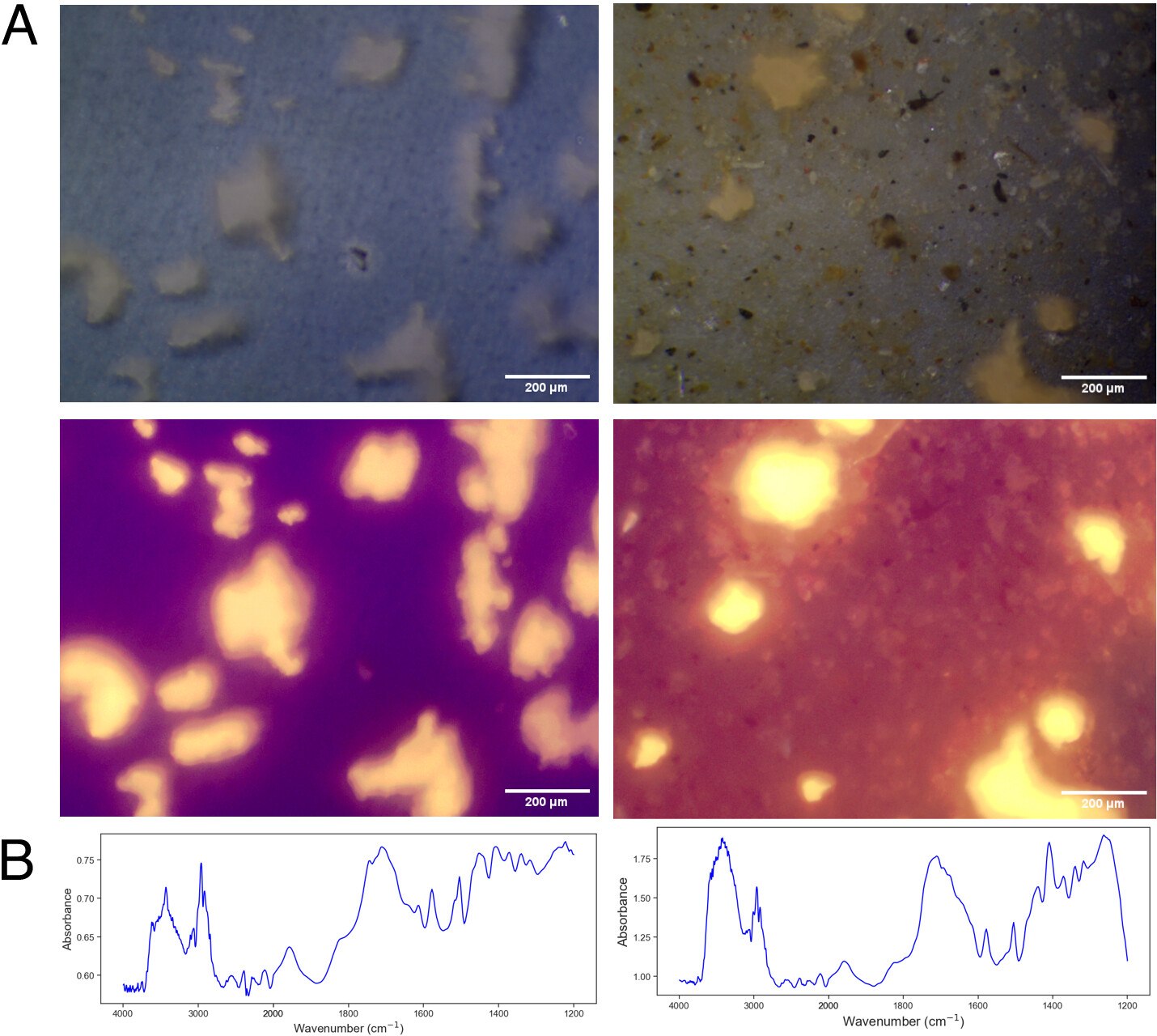 Microplastics microscopy and spectroscopy panels